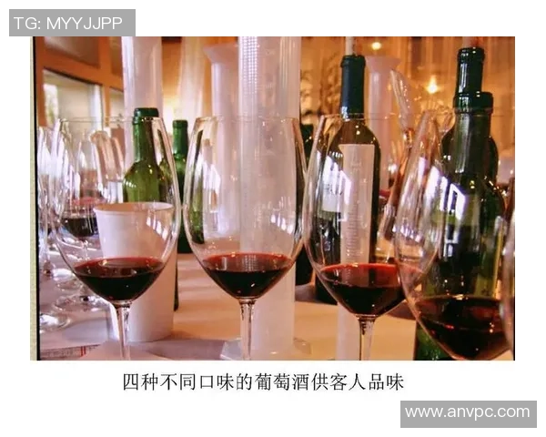 姚明品味红酒的艺术与人生哲学探讨