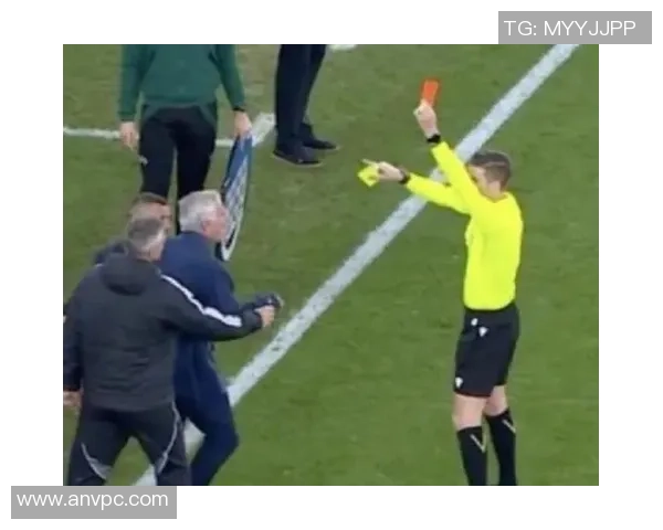 中超精彩对决皇马大胜本菲卡红牌事件引发全场热议与争议